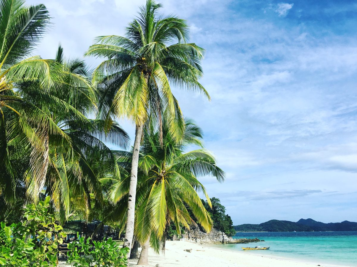 Isla Saona Republica Dominicana: Hermosas playas de arena blanca y agua cristalina